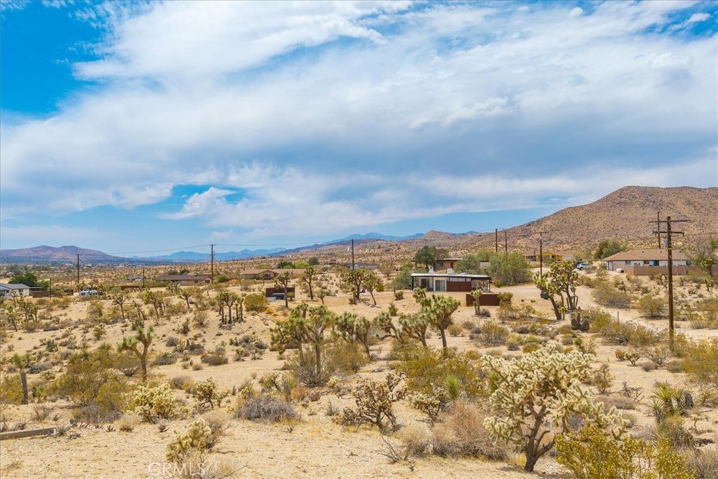 MLS #JT25139181 image #13