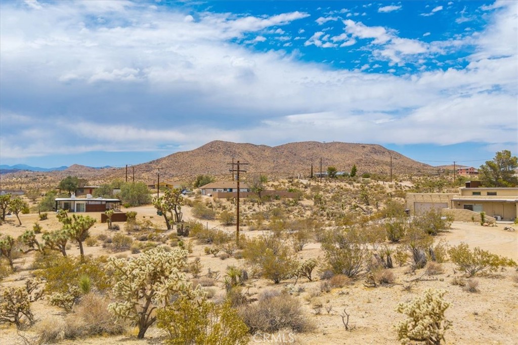 MLS #JT25139181 image #14