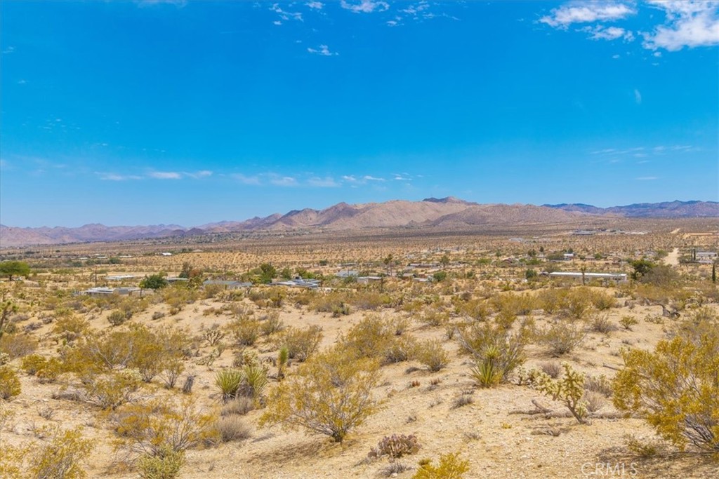 MLS #JT25139181 image #17