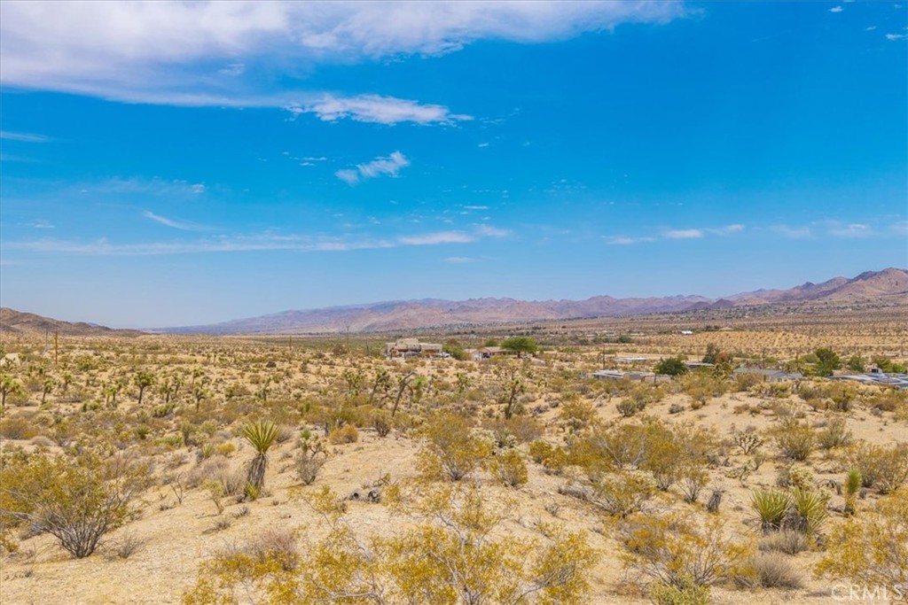 MLS #JT25139181 image #18