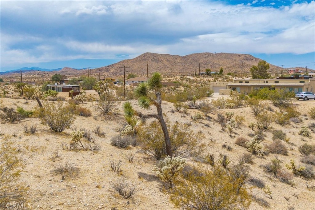 MLS #JT25139181 image #19