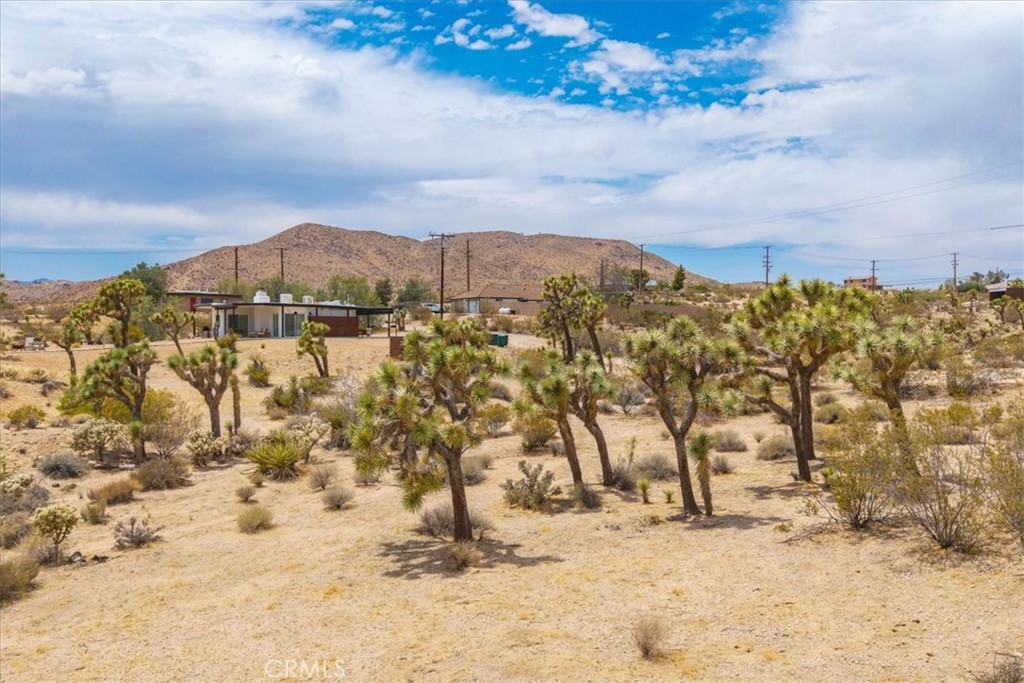 MLS #JT25139181 image #3