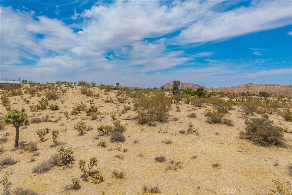 MLS #JT25139181 image #7