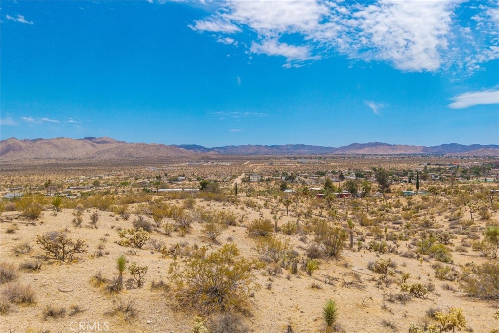 MLS #JT25139181 image #8