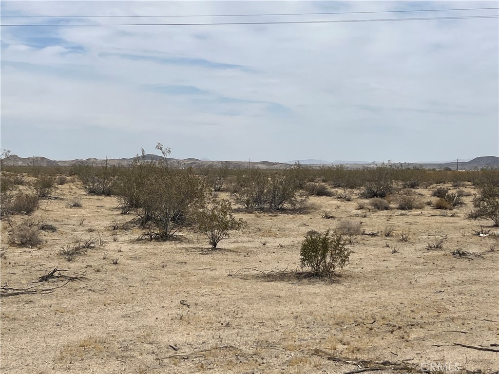 MLS #JT25139543 image #1