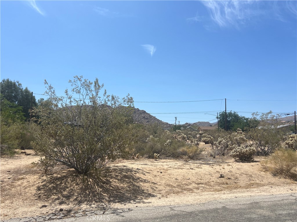 MLS #JT25139543 image #3