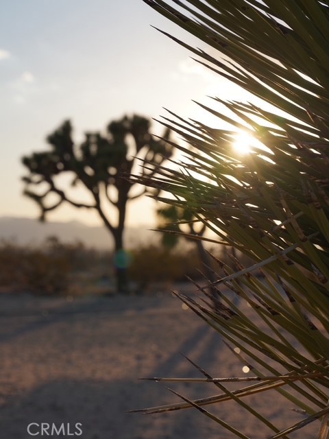 MLS #JT25140722 image #49