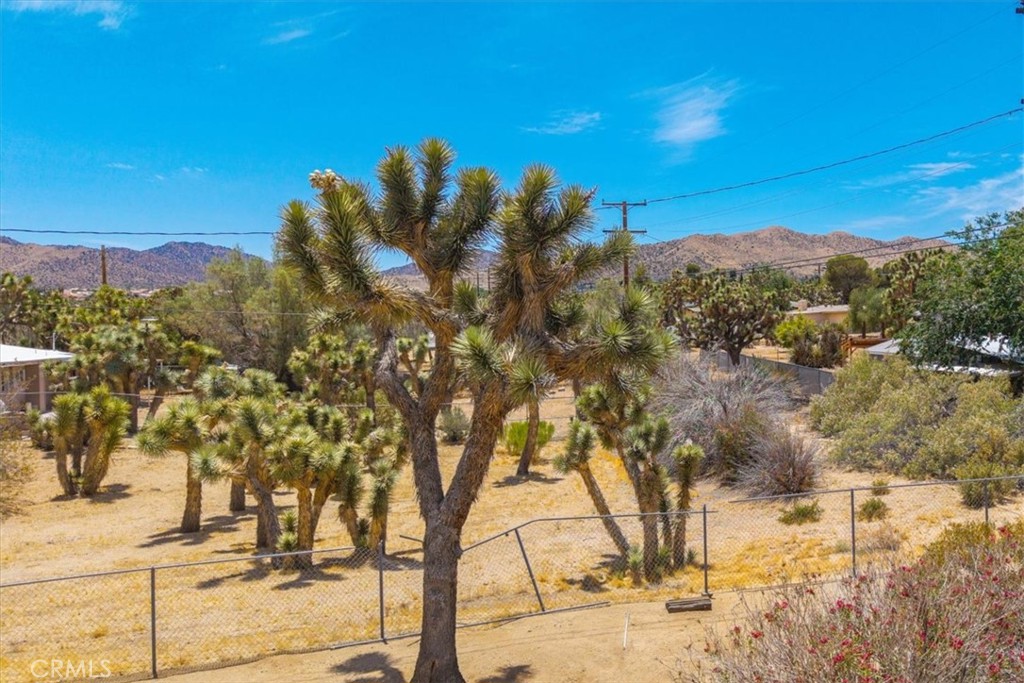 MLS #JT25143404 image #32