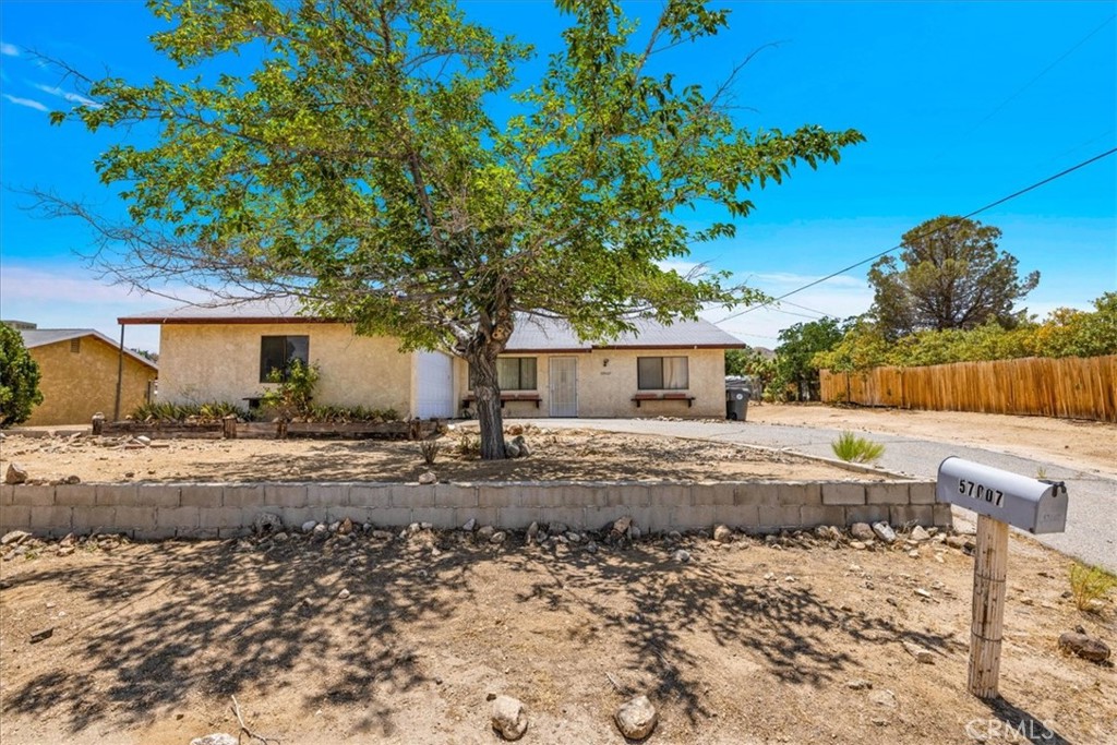 MLS #JT25143404 image #6