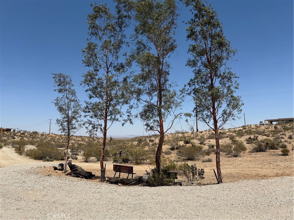 MLS #JT25143431 image #40