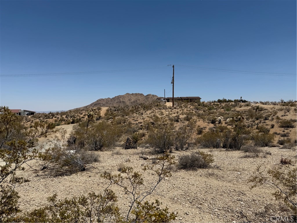 MLS #JT25143431 image #41