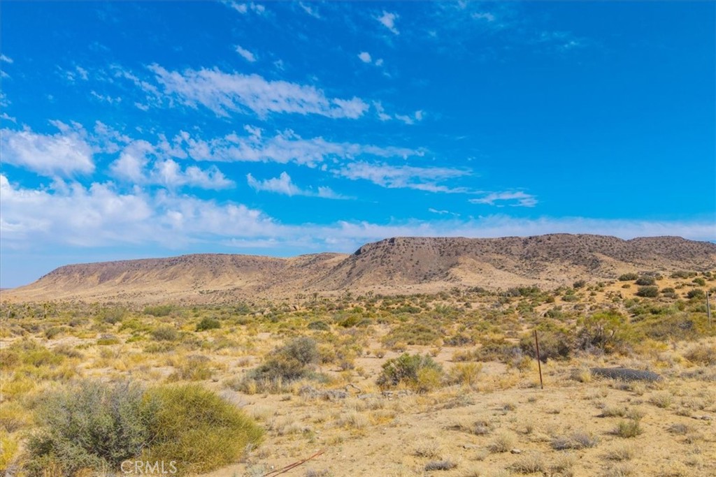 MLS #JT25143515 image #35