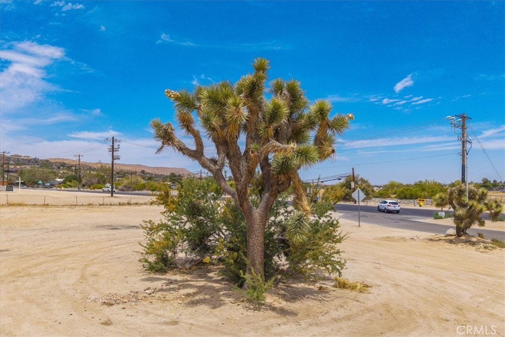 MLS #JT25144789 image #10