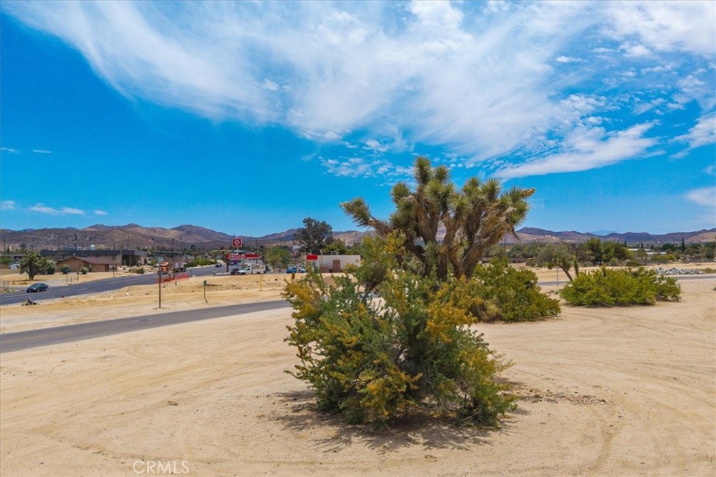 MLS #JT25144789 image #11