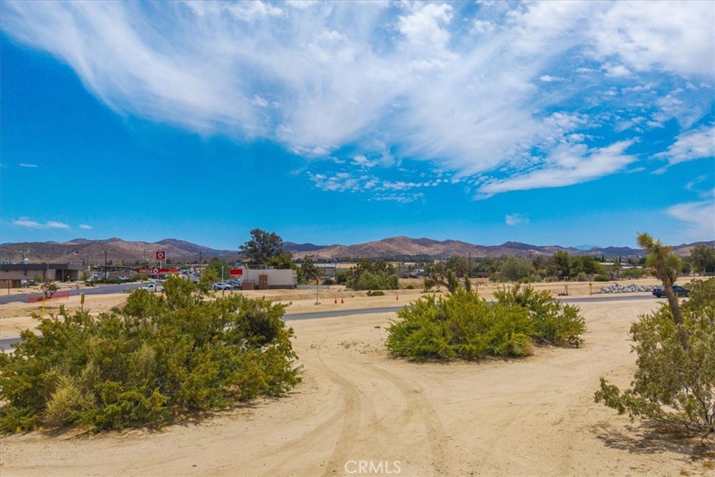 MLS #JT25144789 image #5