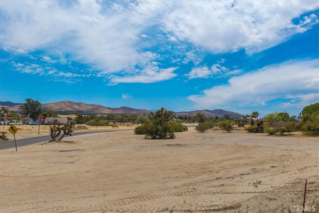 MLS #JT25144789 image #7