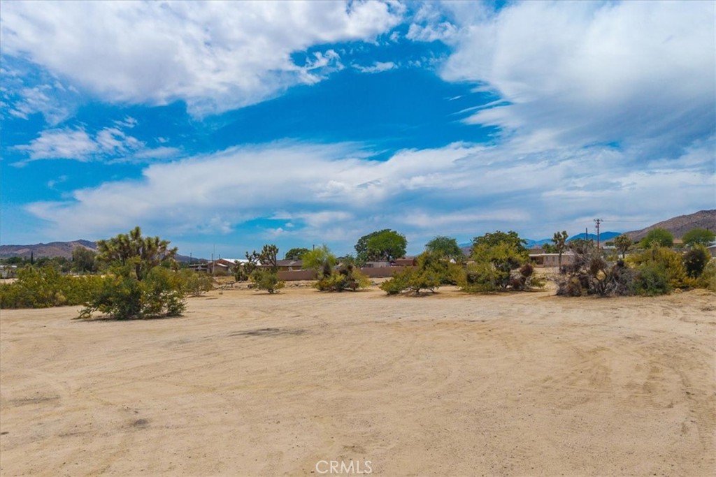 MLS #JT25144789 image #8