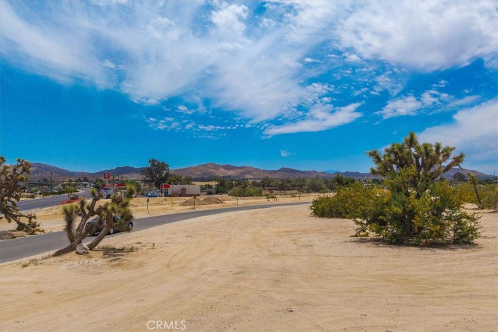 MLS #JT25144789 image #9