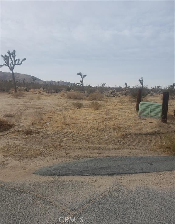 MLS #JT25145411 image #0