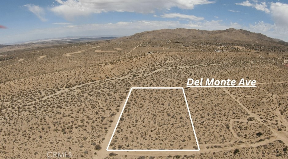 MLS #JT25147801 image #4