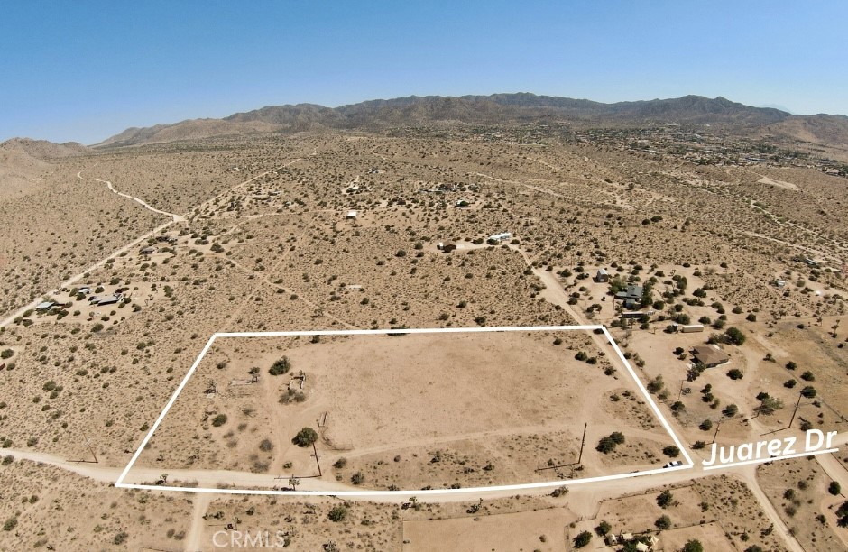 MLS #JT25147809 image #5