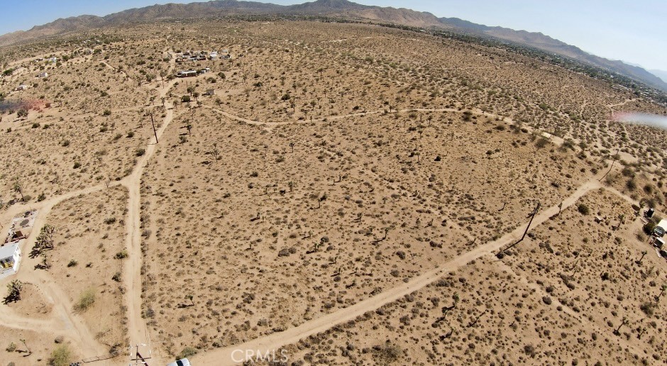 MLS #JT25147818 image #5