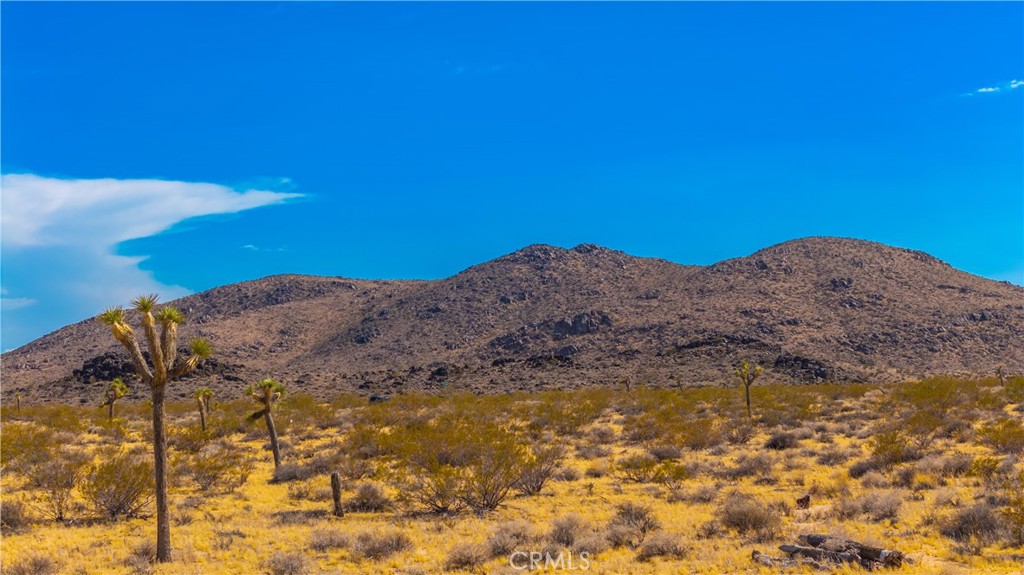 MLS #JT25149629 image #1