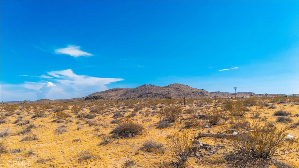 MLS #JT25149629 image #12