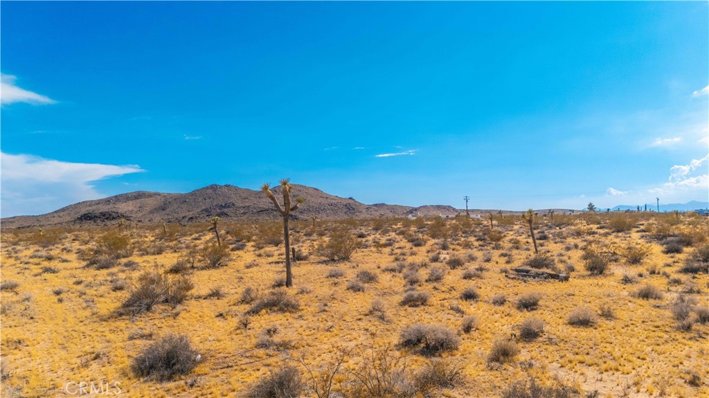 MLS #JT25149629 image #13