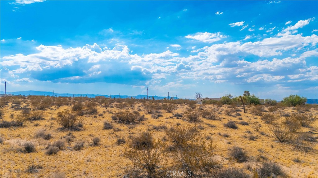 MLS #JT25149629 image #14