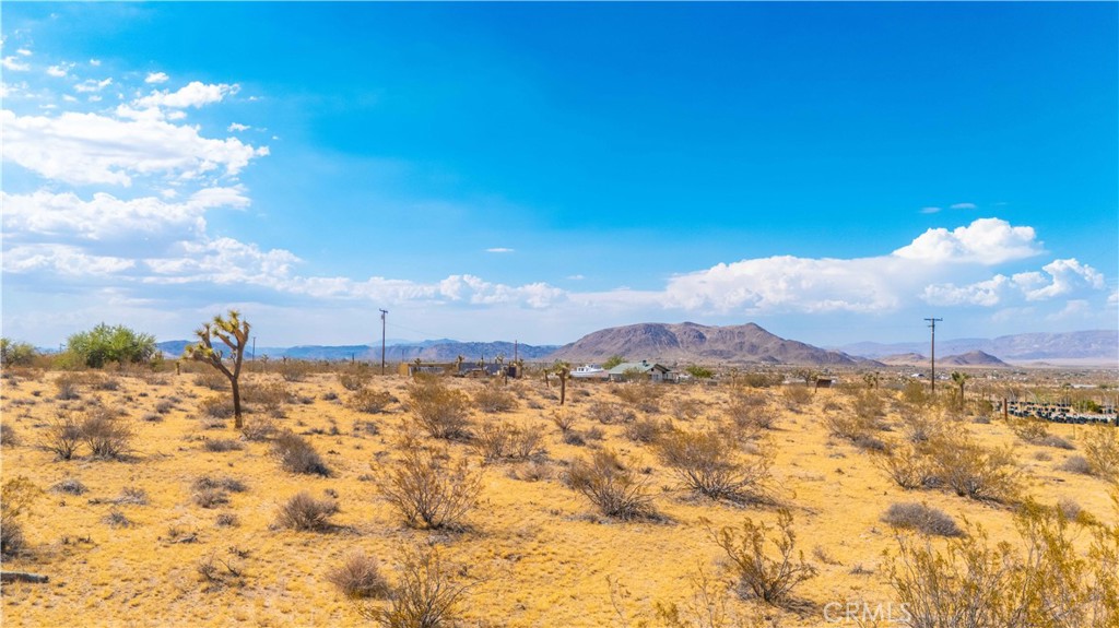 MLS #JT25149629 image #15