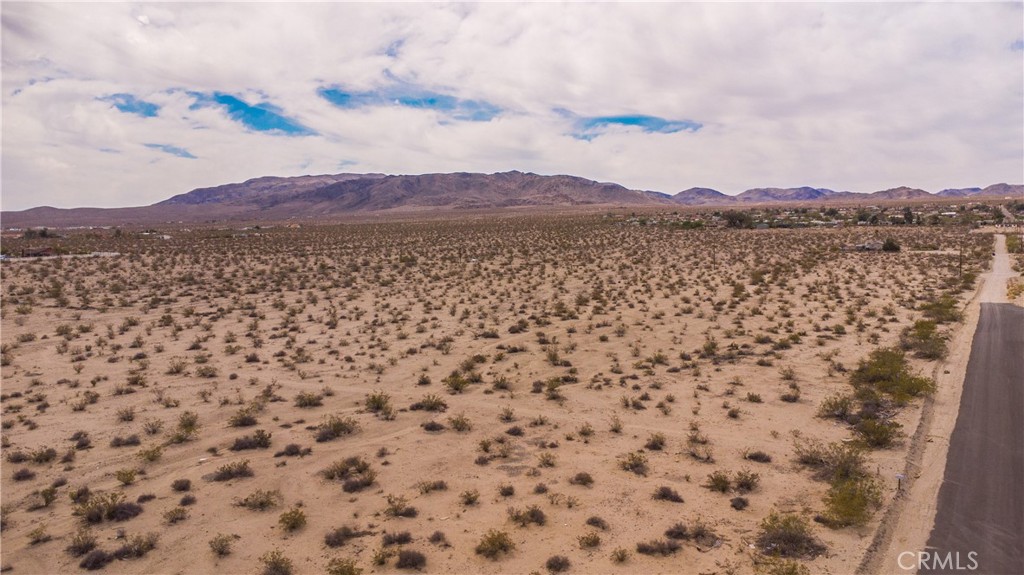 MLS #JT25151017 image #14