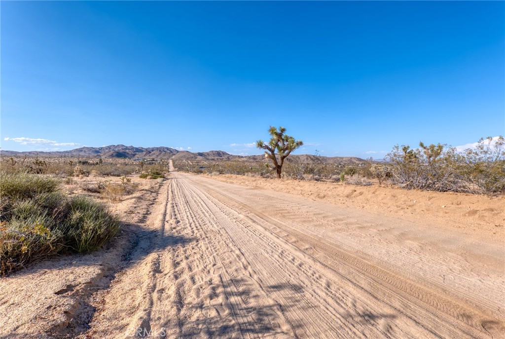 MLS #JT25151077 image #1