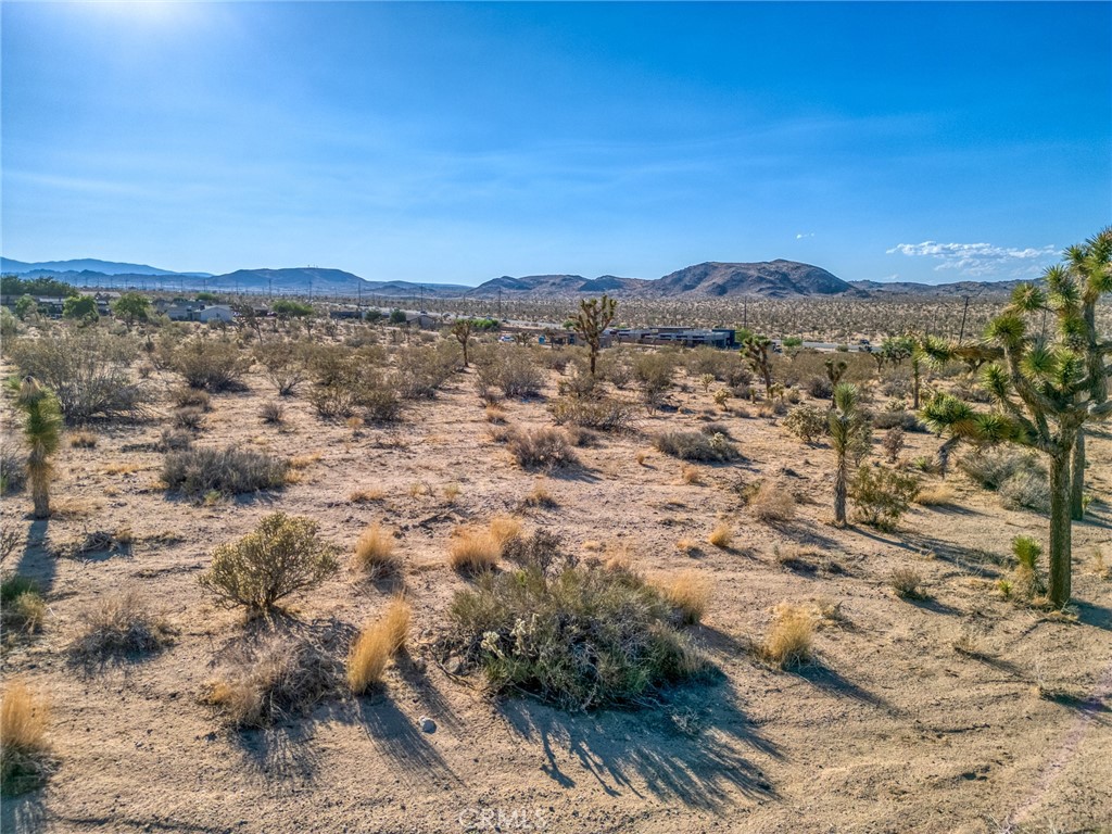 MLS #JT25151077 image #11