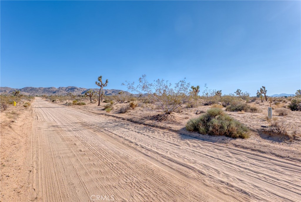 MLS #JT25151077 image #13