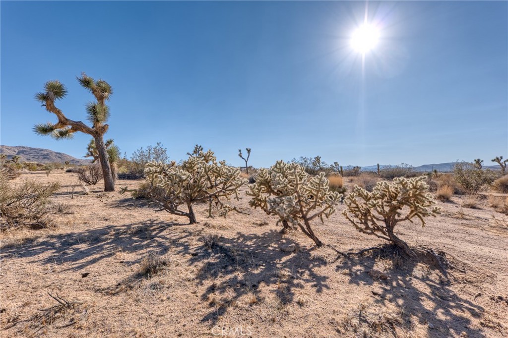 MLS #JT25151077 image #14