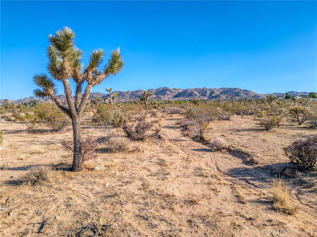 MLS #JT25151077 image #15