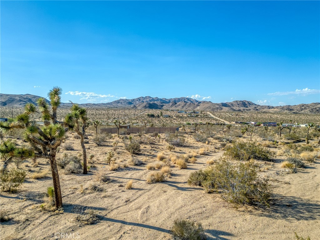 MLS #JT25151077 image #20