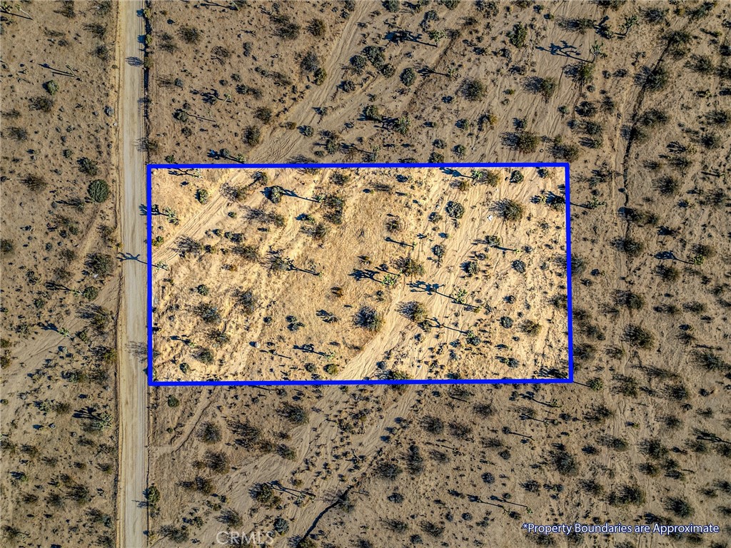 MLS #JT25151077 image #24