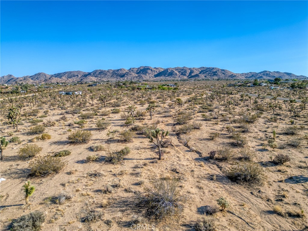 MLS #JT25151077 image #7