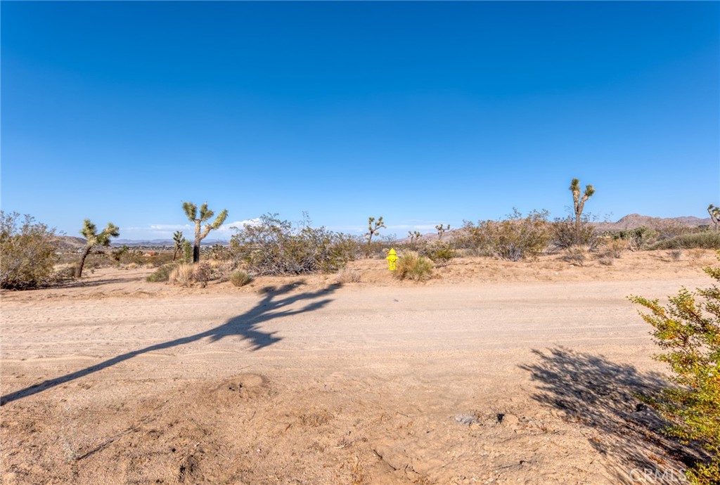 MLS #JT25151077 image #8