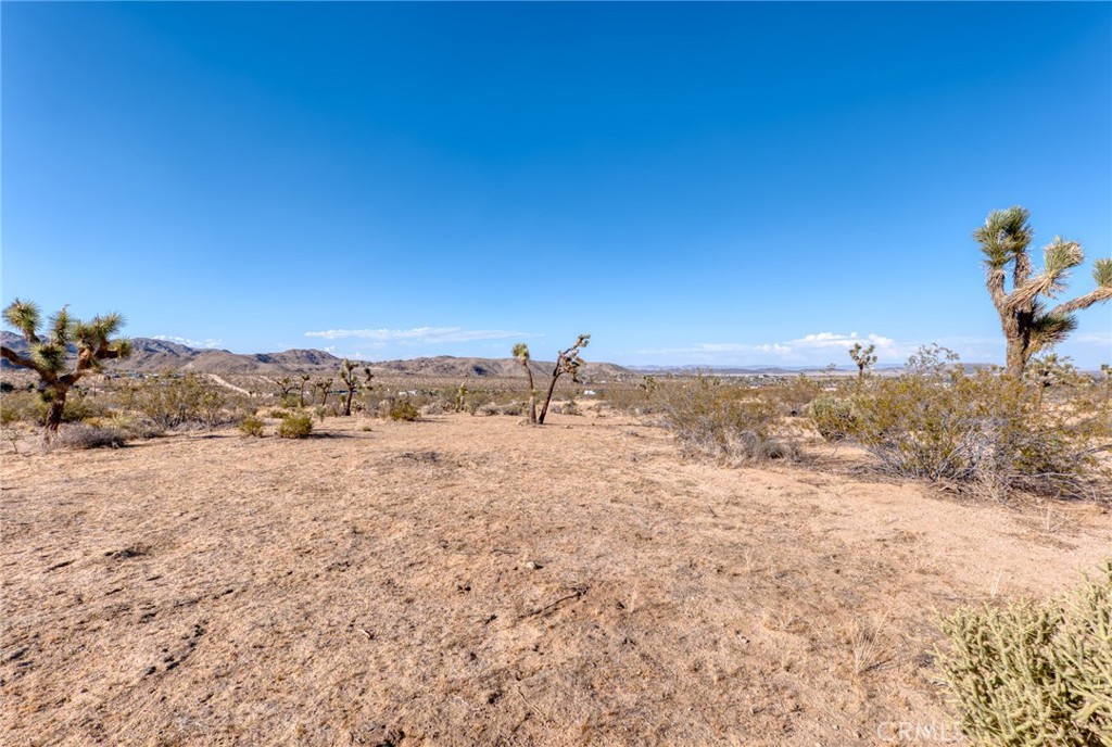 MLS #JT25151077 image #9