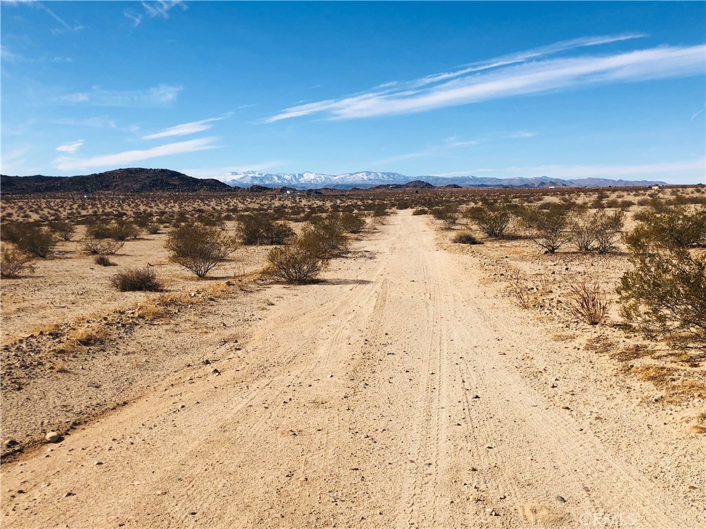 MLS #JT25151667 image #11