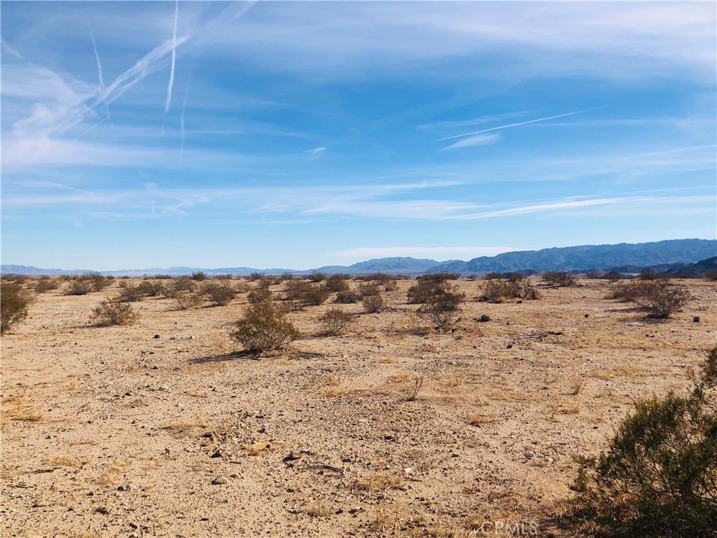 MLS #JT25151667 image #2