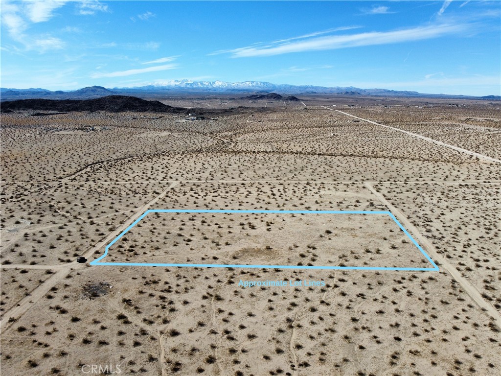 MLS #JT25151667 image #4