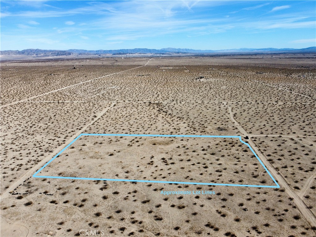 MLS #JT25151667 image #5