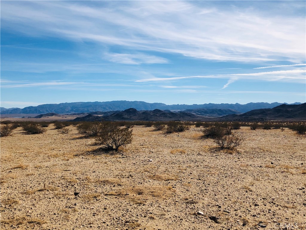 MLS #JT25151667 image #6