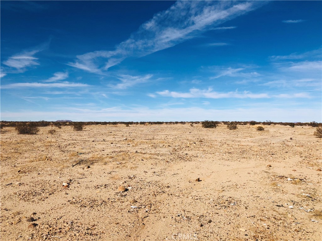 MLS #JT25151667 image #8