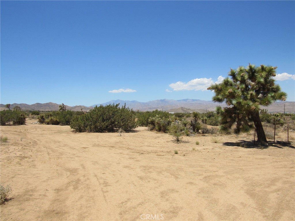 MLS #JT25152173 image #18