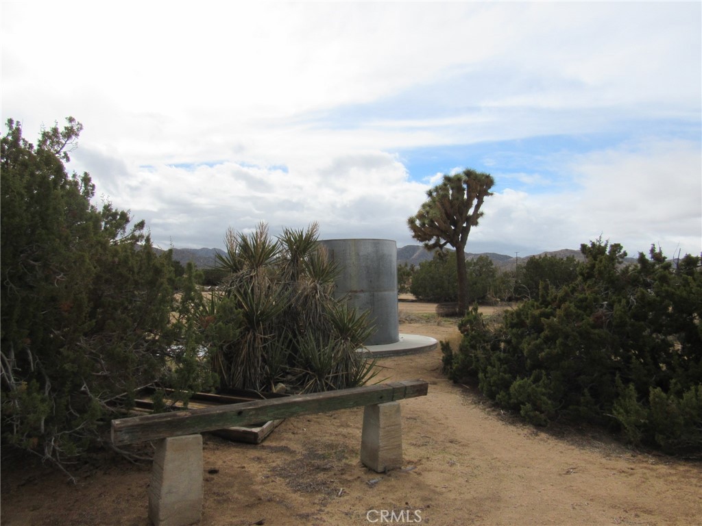 MLS #JT25152173 image #23